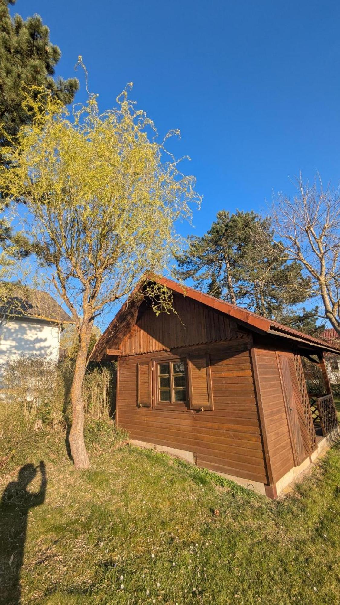 Landhotel Sonneneck - Breuna Im Naturpark Exterior photo